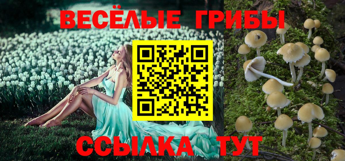 Галлюциногенные грибы Cubensis Кирово-Чепецк