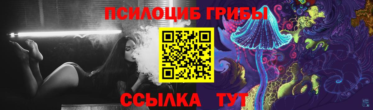 Галлюциногенные грибы MAGIC MUSHROOMS  Вход с VPN  Кирово-Чепецк 